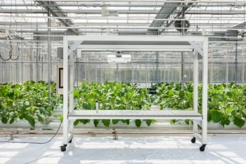 TraitFinder表型分析/记录装置