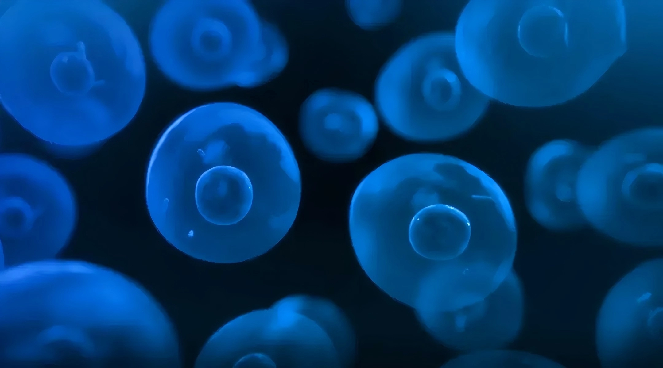 Cero 3D生物反应器：5大优势破解细胞培养瓶颈