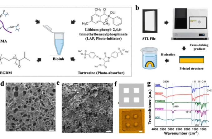 重塑组织再生未来：CELLINK BIONOVA X 打造可变形生物医学支架