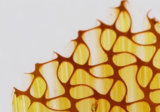 CELLINK DLP生物打印技术优势：精准度、分辨率与生物相容性