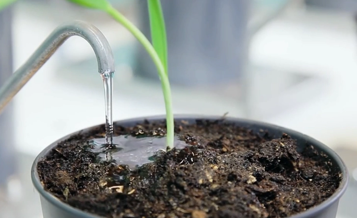 科研标配！Phenospex DroughtSpotter精准监测植物蒸腾