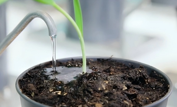 DroughtSpotter点灌和蒸腾速率分析系统