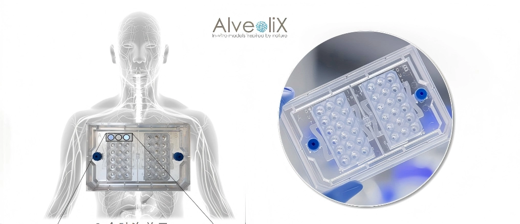 会呼吸的肺泡芯片来了！瑞士 AlveoliX AX12 器官芯片